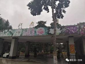 吉林公园爆料视频,揭秘公园背后的惊人真相