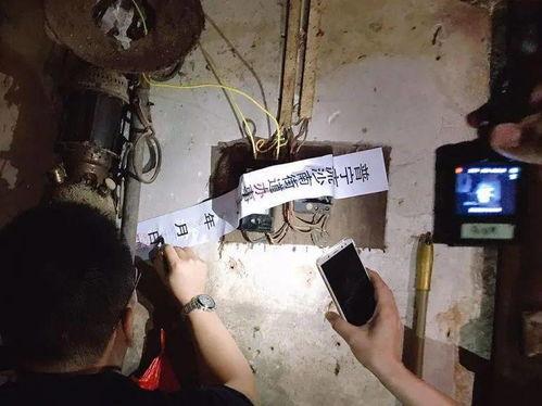 屠宰最新爆料消息网,屠宰行业惊人内幕大揭秘！